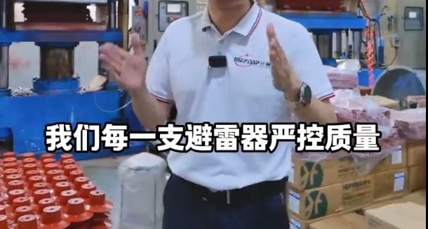 来利国际AG旗舰厅避雷器坚守品质 欢迎洽谈